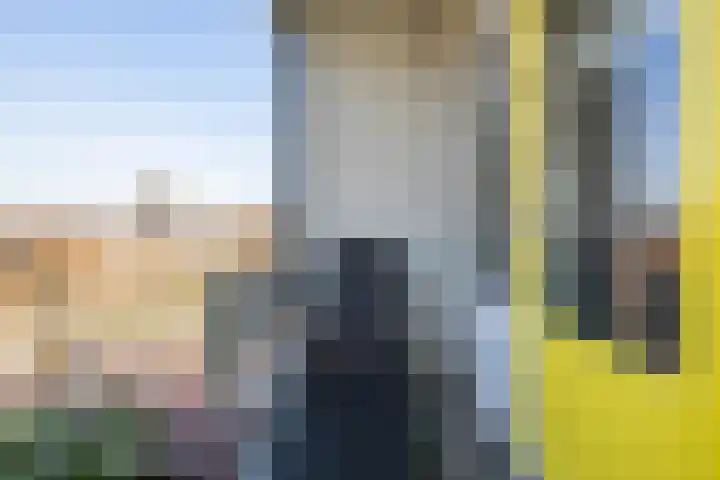 Rode Beuk 58 Halsteren thumbnail 32