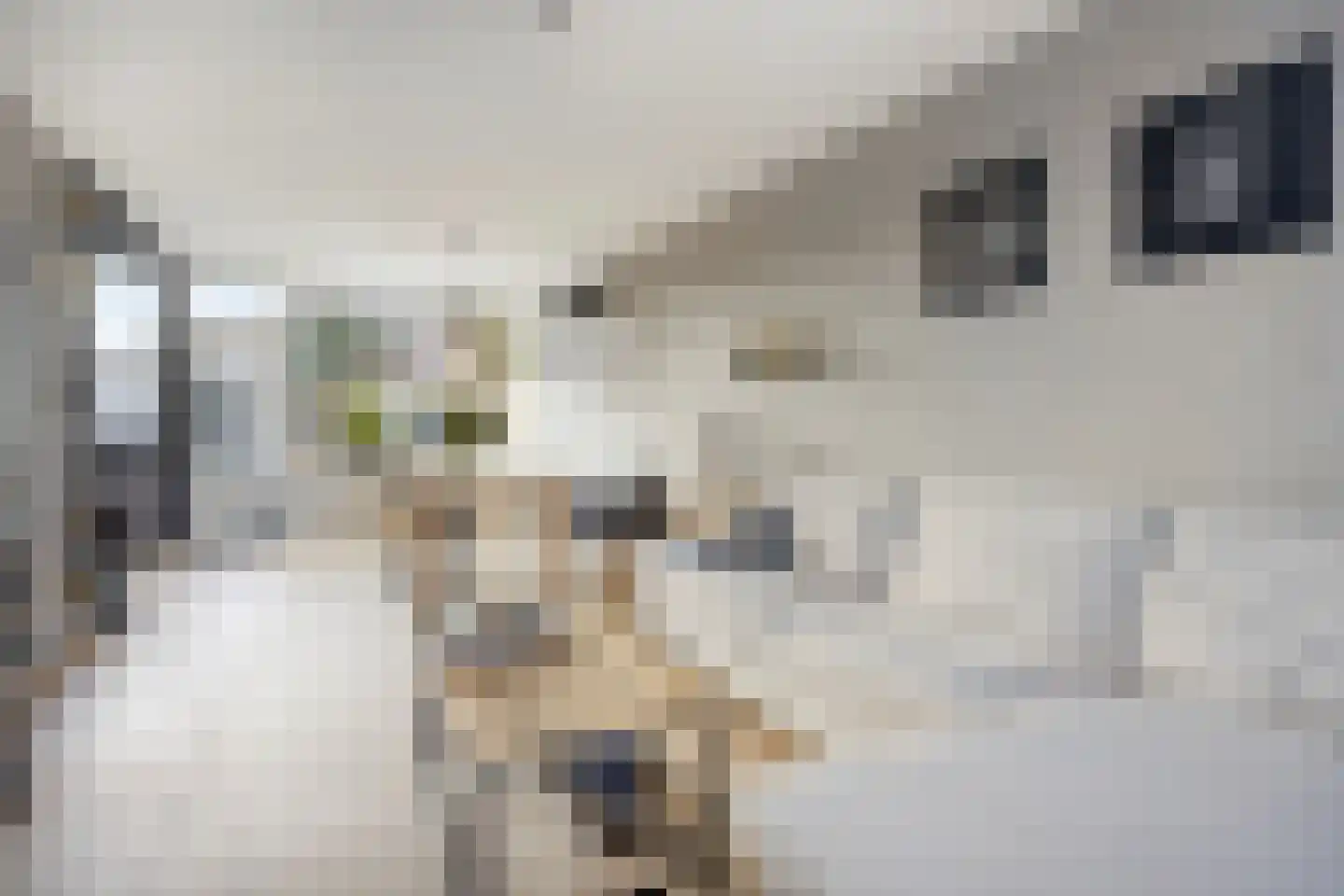 Rode Beuk 58 Halsteren thumbnail 41