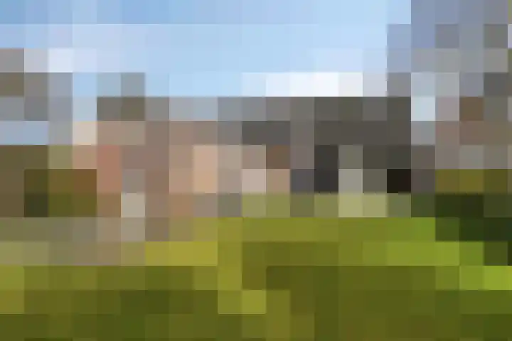 Rode Beuk 58 Halsteren thumbnail 6