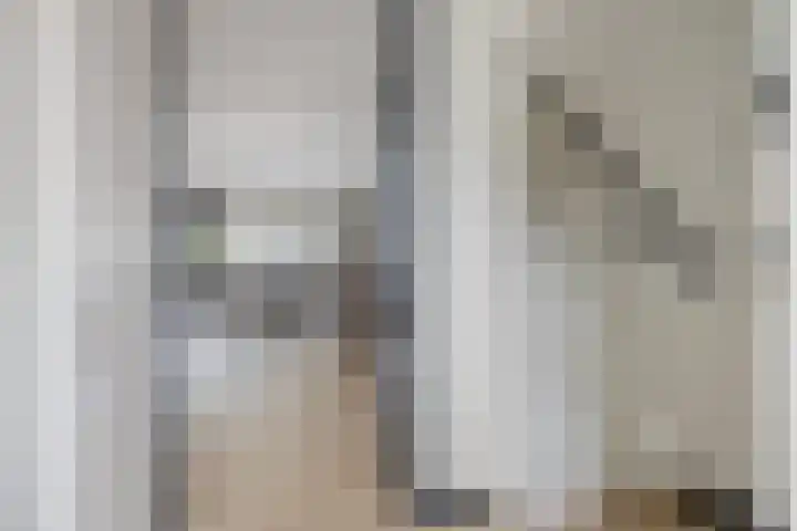 Rode Beuk 58 Halsteren thumbnail 7