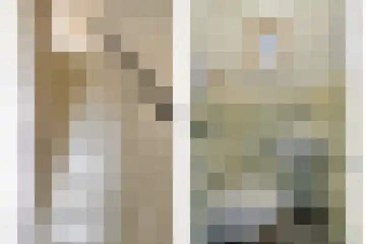 Rode Beuk 58 Halsteren thumbnail 9