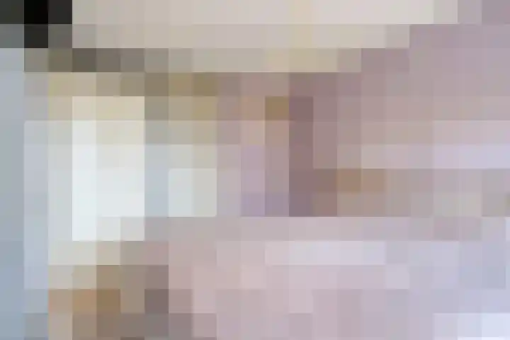 Rode Beuk 6 Halsteren thumbnail 15