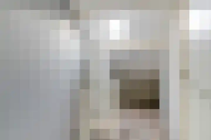 Rode Beuk 6 Halsteren thumbnail 21