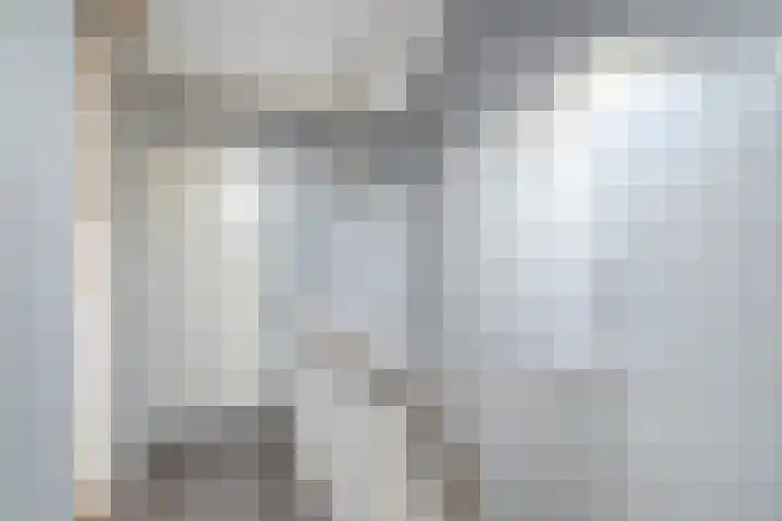Rode Beuk 6 Halsteren thumbnail 22