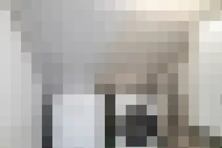 Rode Beuk 6 Halsteren thumbnail 23