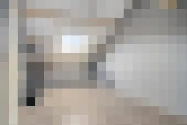 Rode Beuk 6 Halsteren thumbnail 24