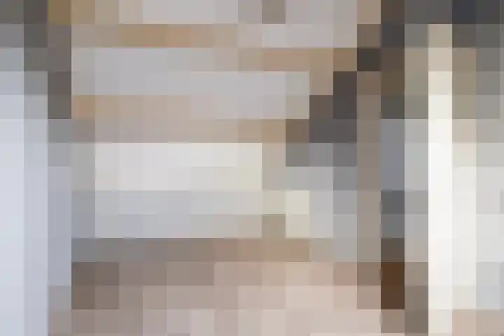 Rode Beuk 6 Halsteren thumbnail 25