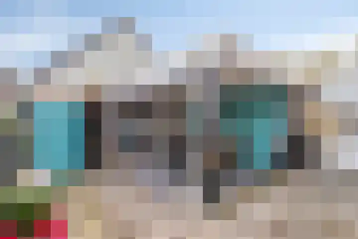 Rode Beuk 6 Halsteren thumbnail 27