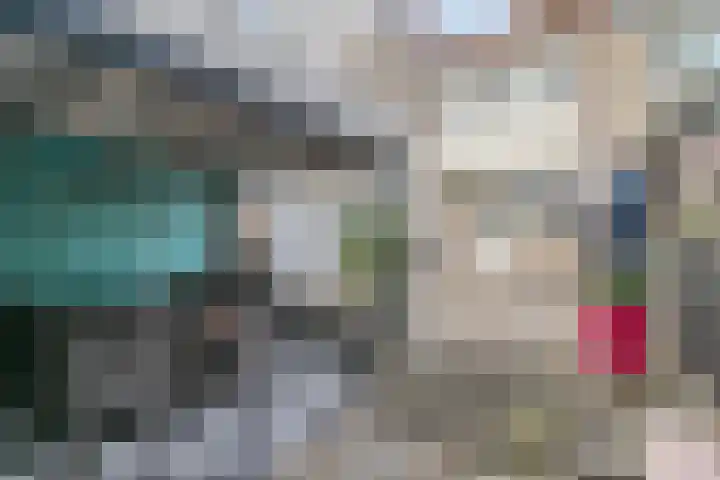 Rode Beuk 6 Halsteren thumbnail 29