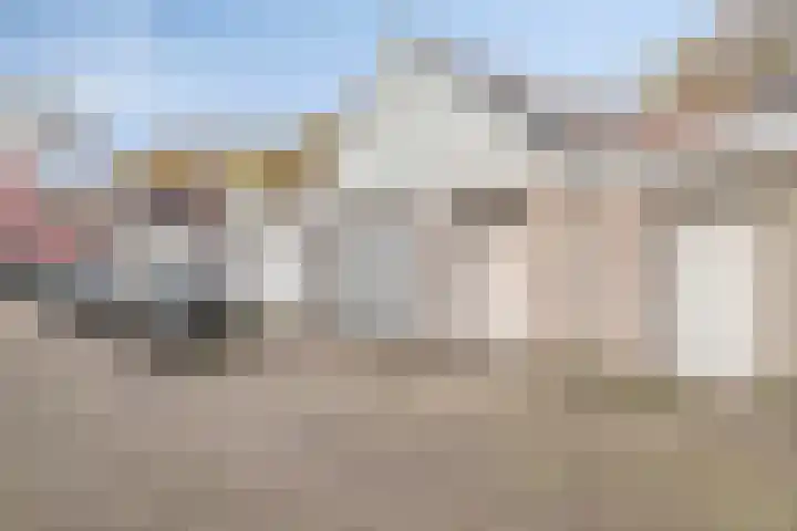 Rode Beuk 6 Halsteren thumbnail 31