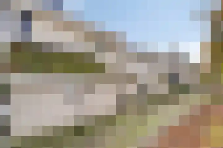 Rode Beuk 6 Halsteren thumbnail 32
