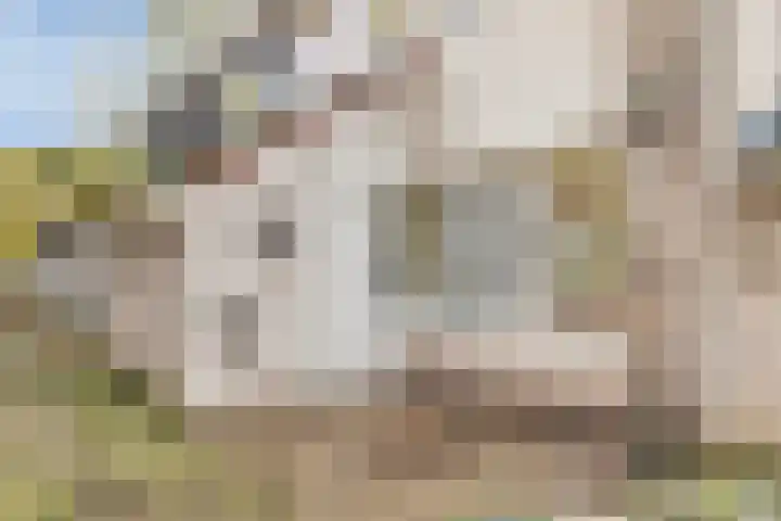 Rode Beuk 6 Halsteren thumbnail 34
