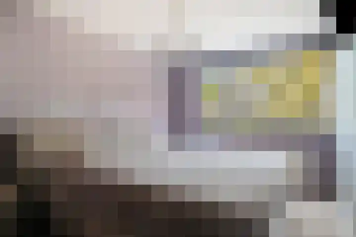 Rode Beuk 6 Halsteren thumbnail 4