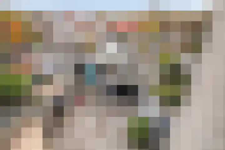 Rode Beuk 6 Halsteren thumbnail 6