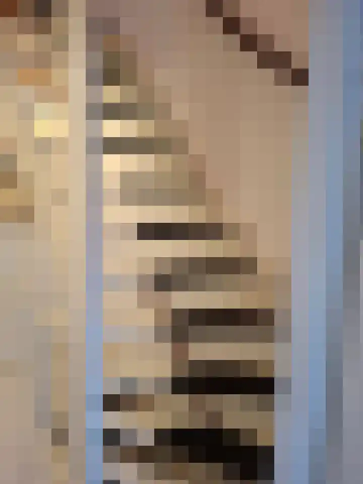 Rode Beuk 63 Halsteren thumbnail 11