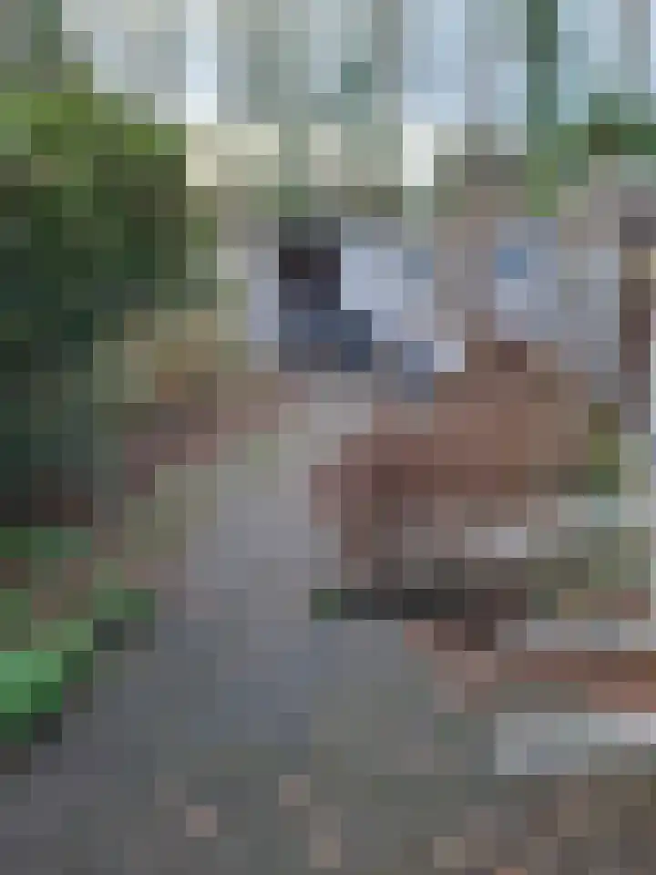 Rode Beuk 63 Halsteren thumbnail 15