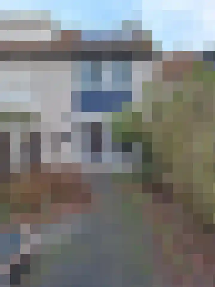 Rode Beuk 63 Halsteren thumbnail 16