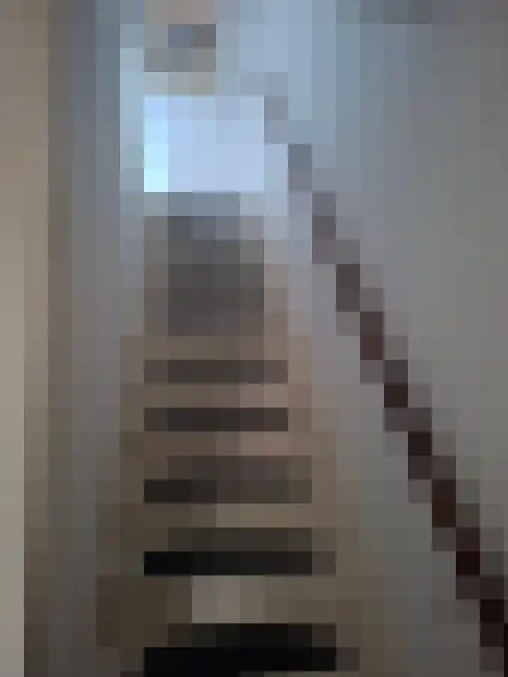 Rode Beuk 63 Halsteren thumbnail 5
