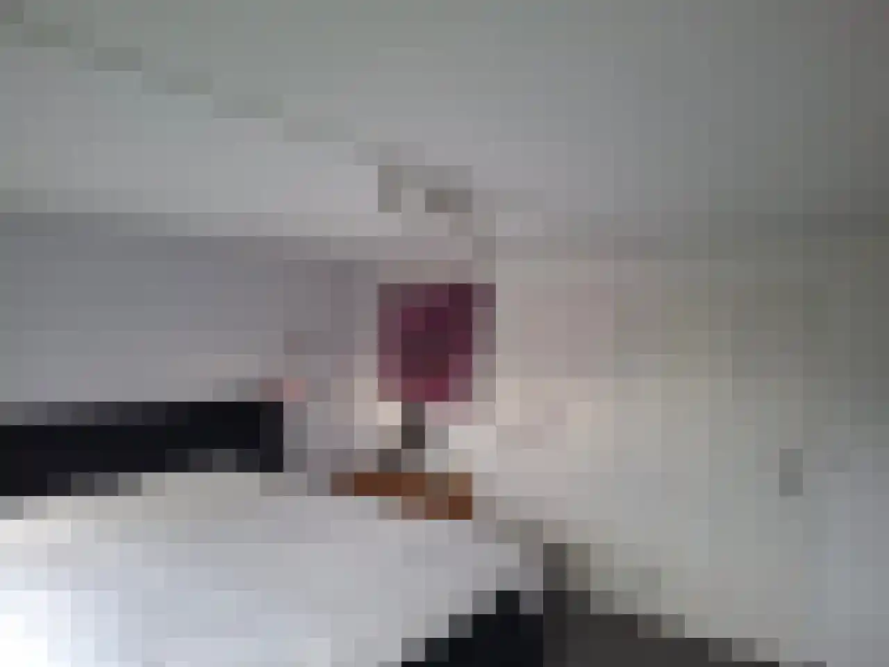 Rode Beuk 63 Halsteren thumbnail 6