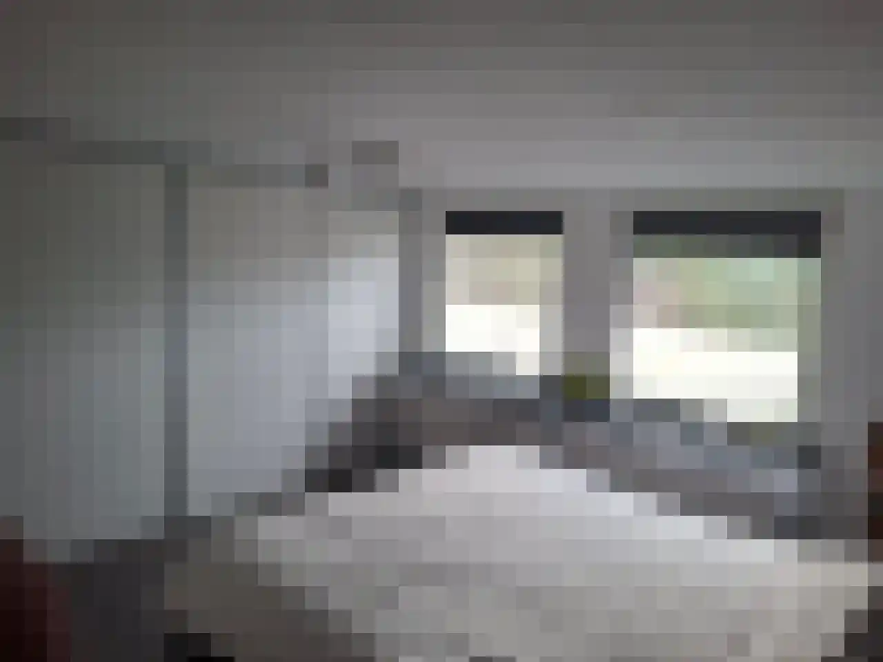 Rode Beuk 63 Halsteren thumbnail 7