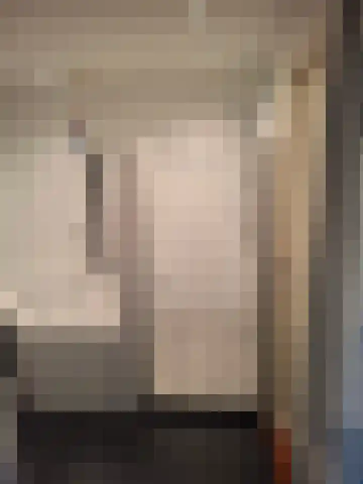 Rode Beuk 63 Halsteren thumbnail 8