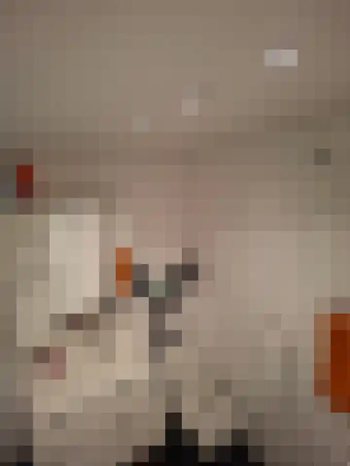 Rode Beuk 63 Halsteren thumbnail 9