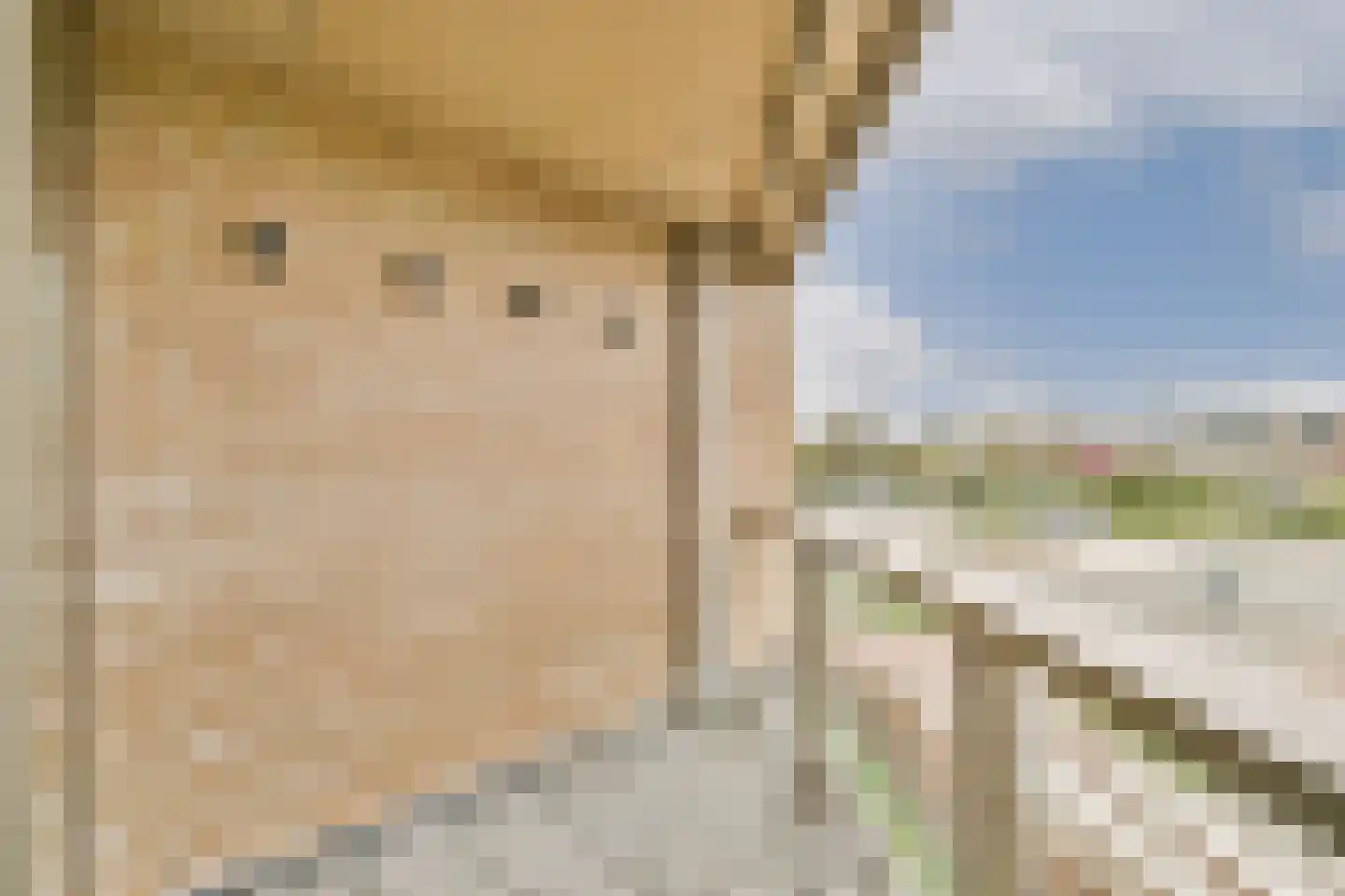 Rode Beukplein 4 Blaricum thumbnail 16