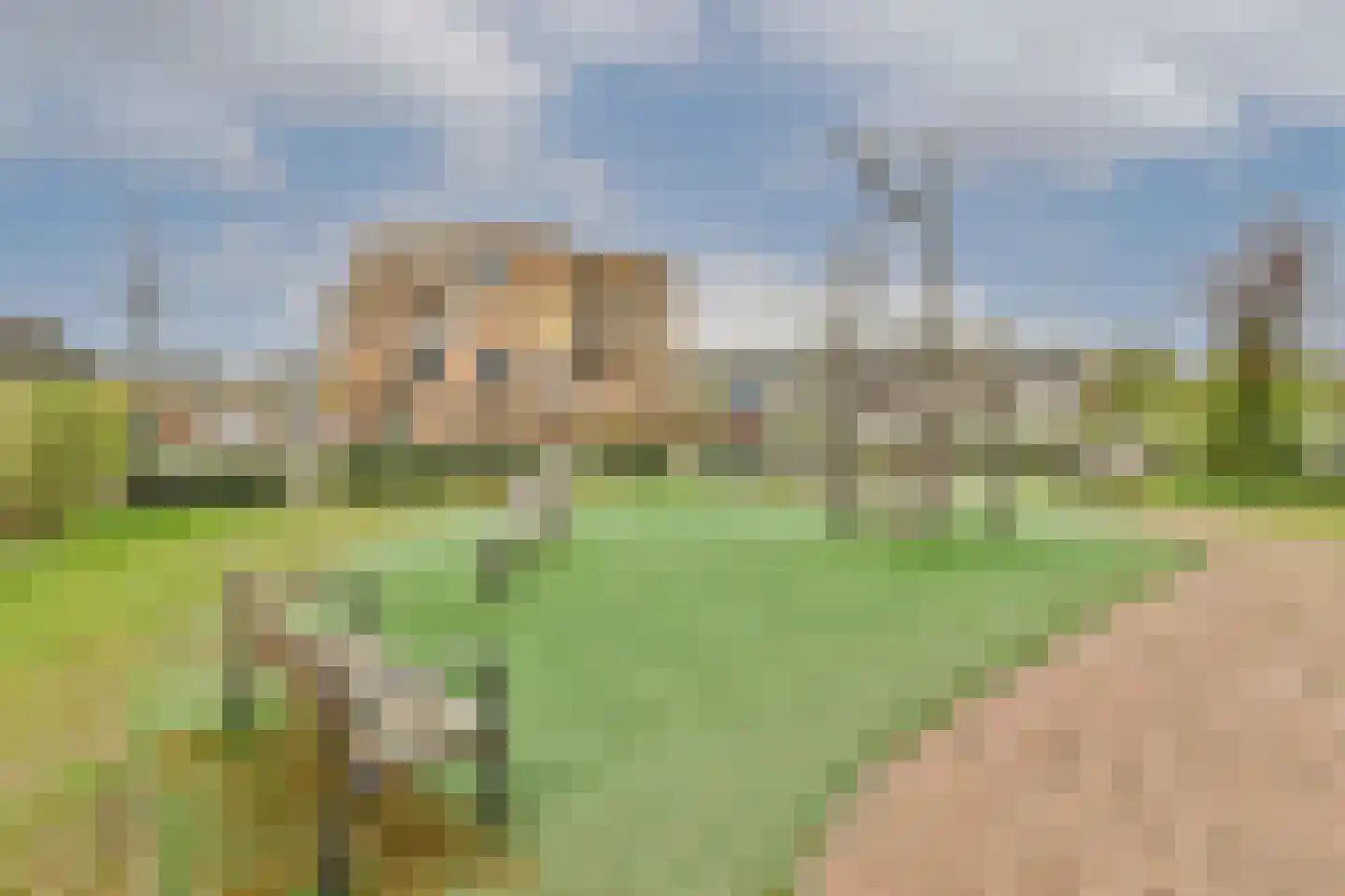 Rode Beukplein 4 Blaricum thumbnail 25