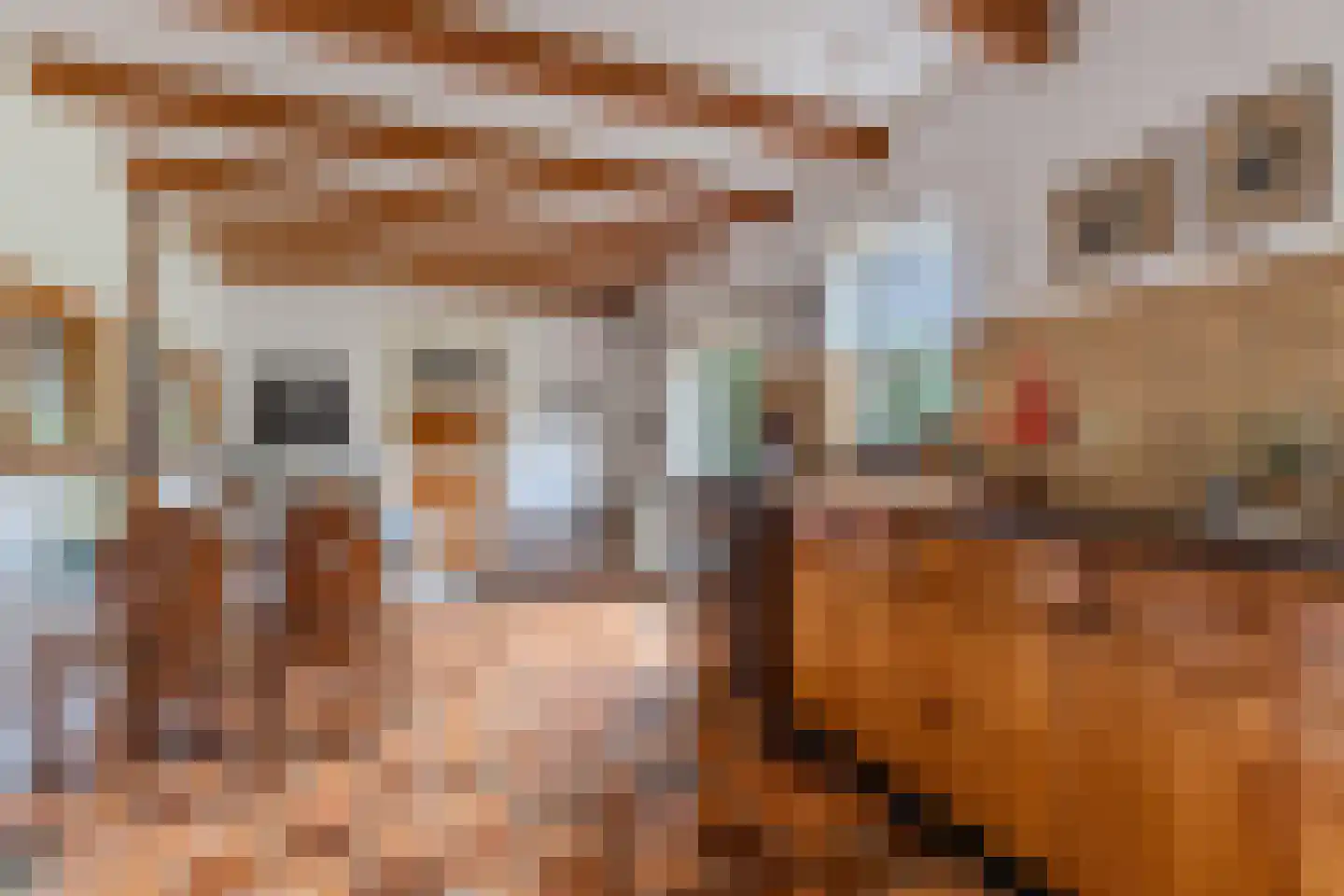 Rode Dorp 12 A Zandhuizen thumbnail 15