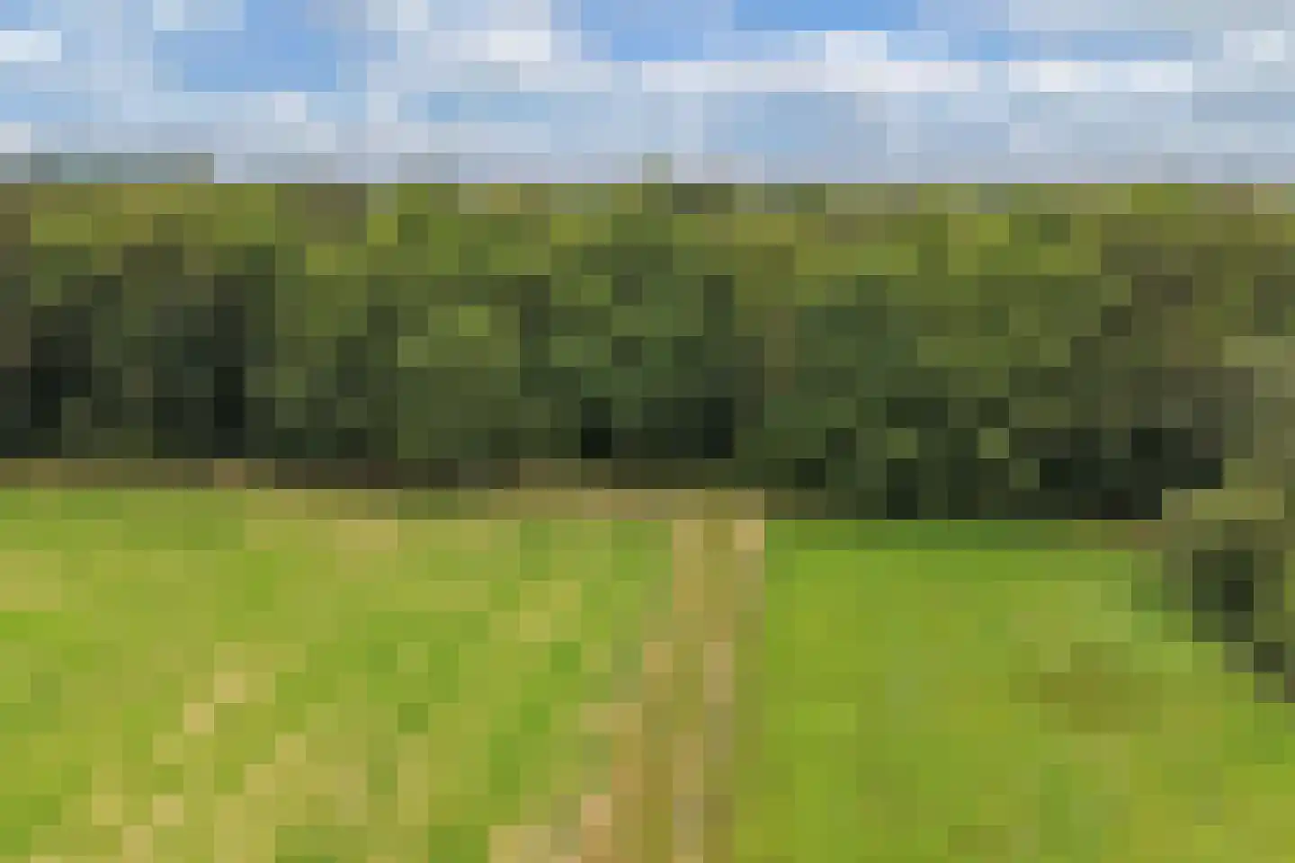 Rode Dorp 12 A Zandhuizen thumbnail 34