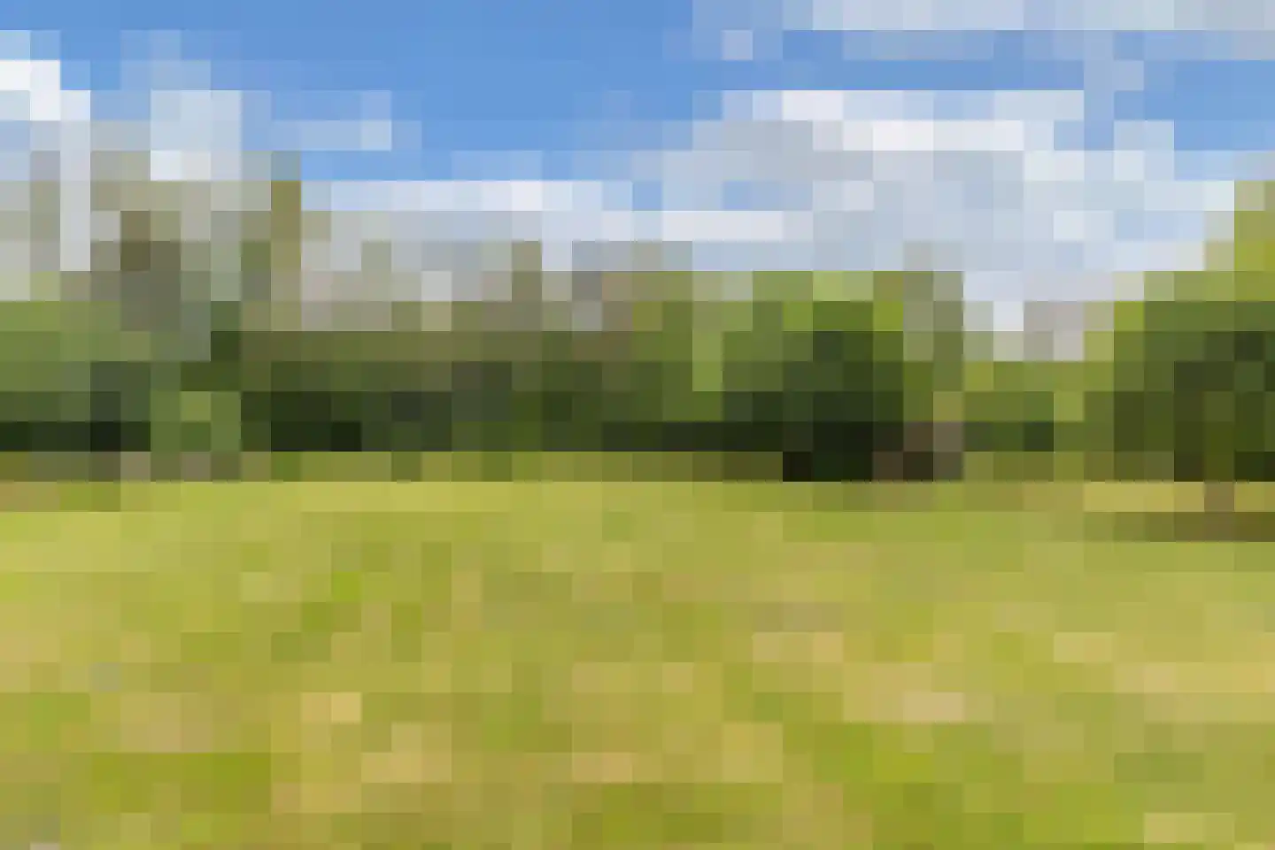 Rode Dorp 12 A Zandhuizen thumbnail 35