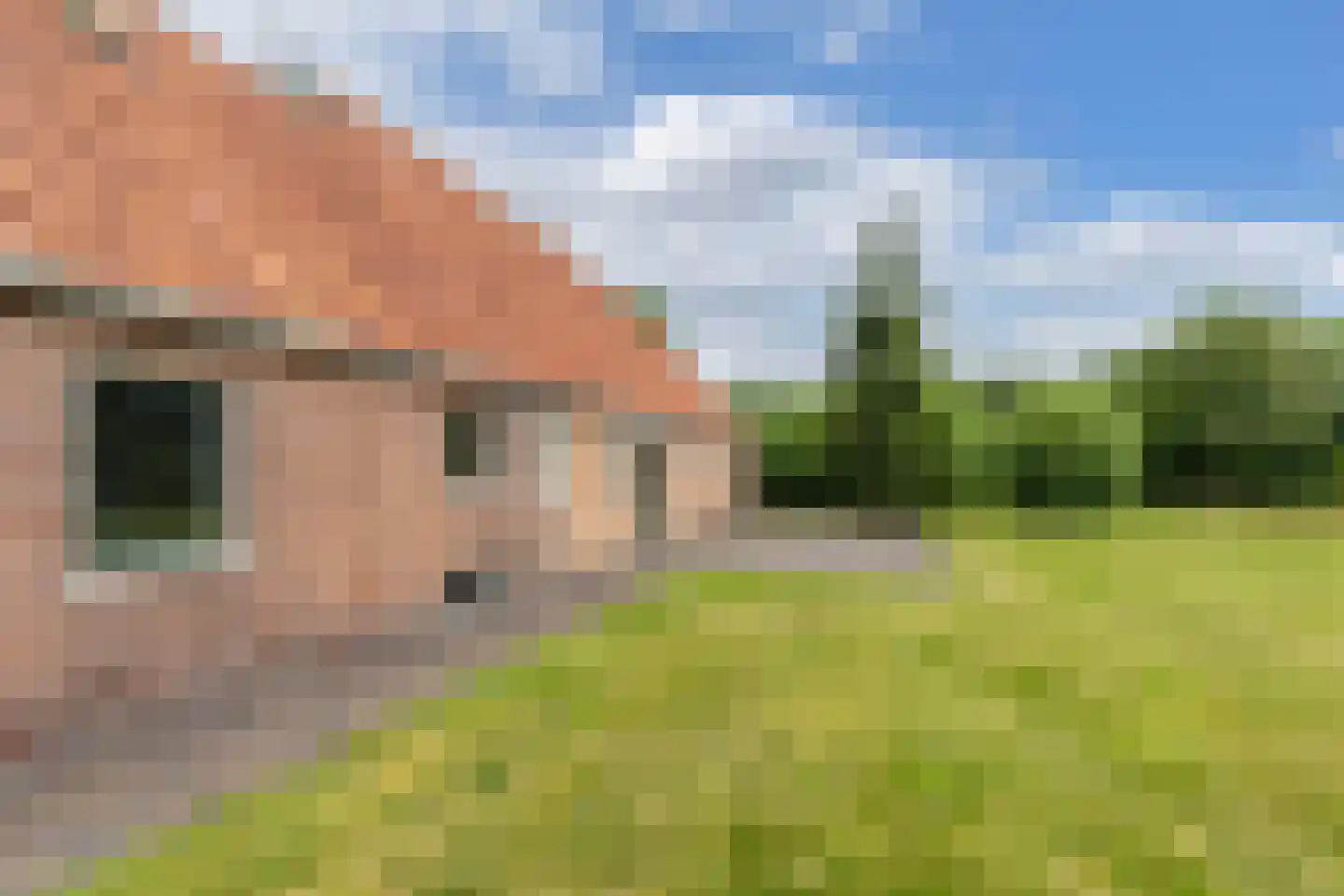 Rode Dorp 12 A Zandhuizen thumbnail 41