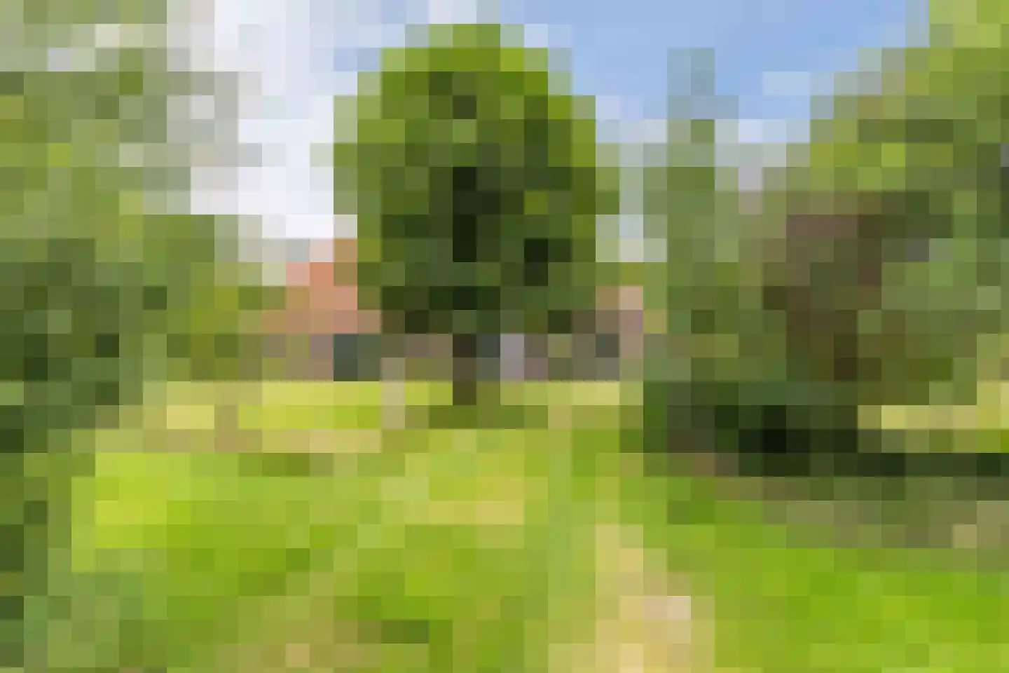 Rode Dorp 12 A Zandhuizen thumbnail 44