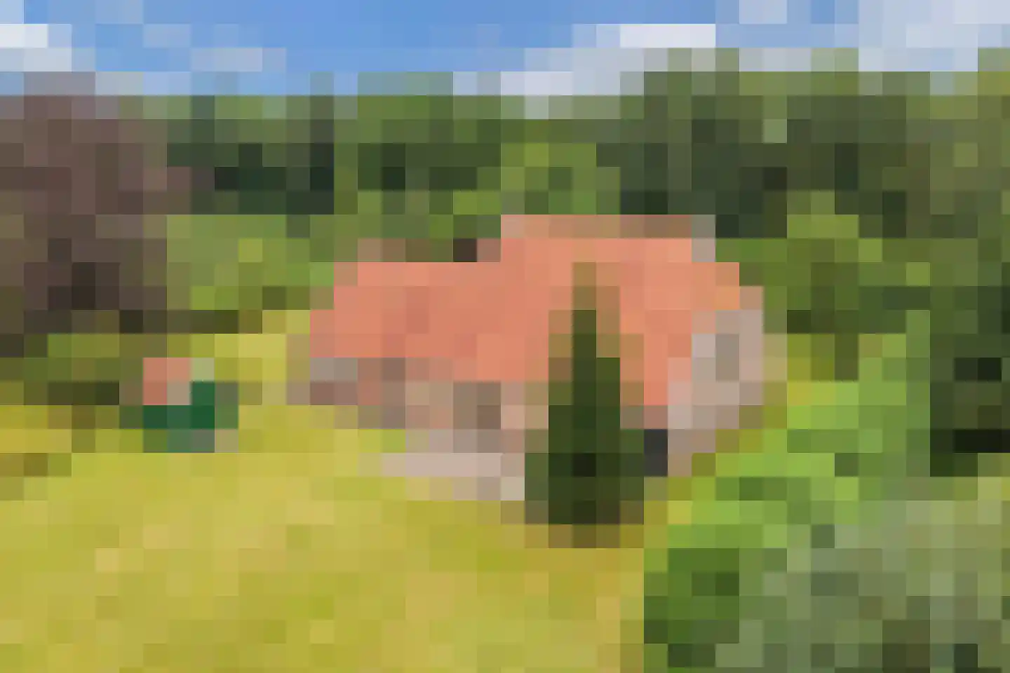 Rode Dorp 12 A Zandhuizen thumbnail 49