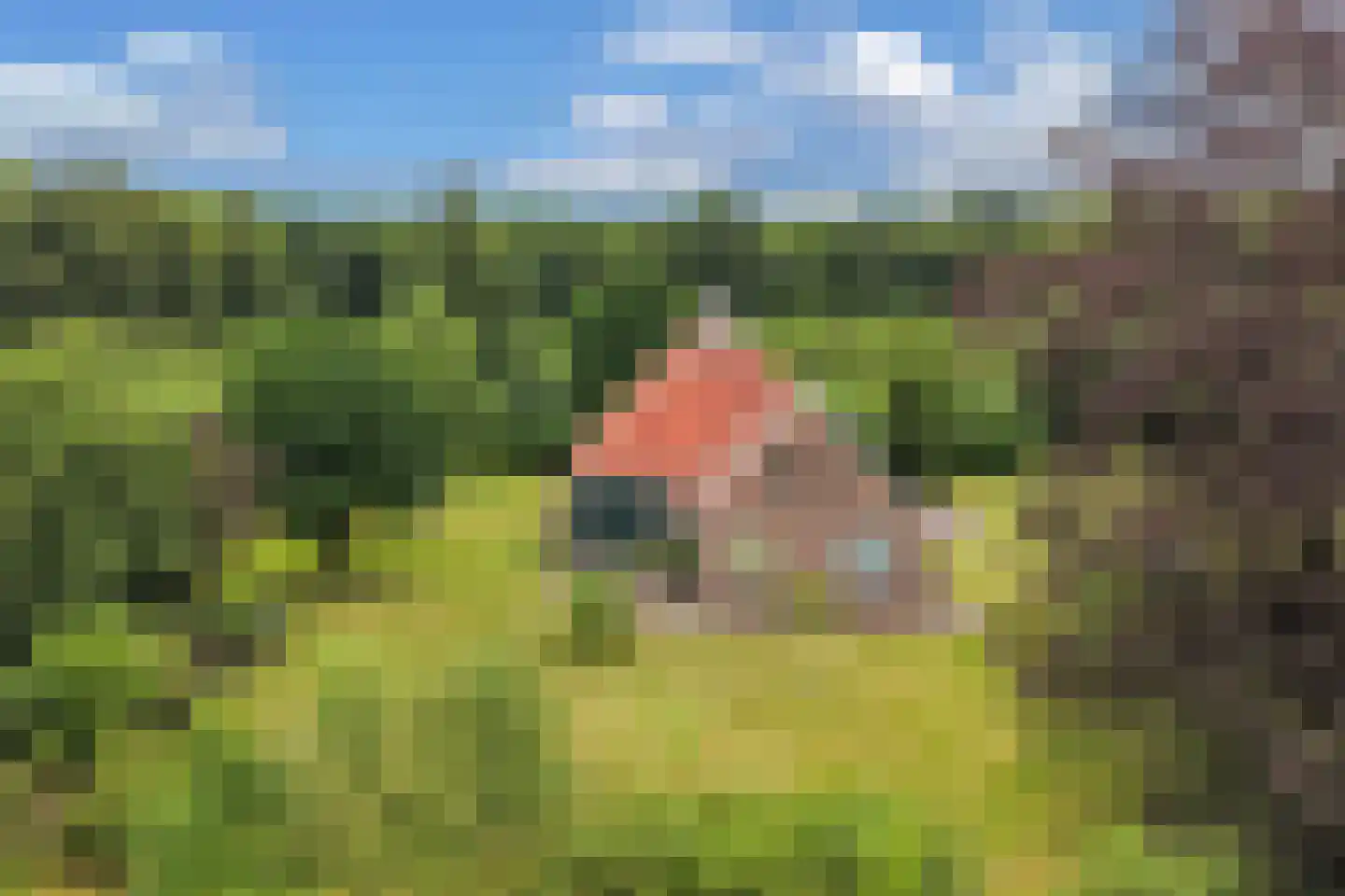 Rode Dorp 12 A Zandhuizen thumbnail 50