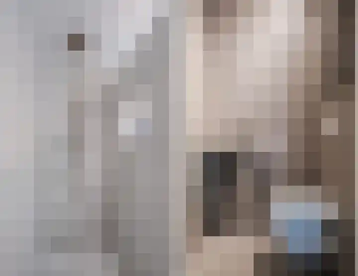 Rode Heikorstlaan 22 Eindhoven thumbnail 11