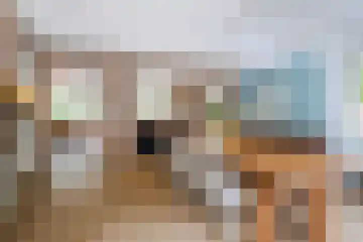 Rode Heikorstlaan 22 Eindhoven thumbnail 14