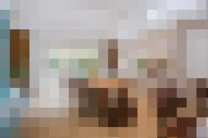 Rode Heikorstlaan 22 Eindhoven thumbnail 18