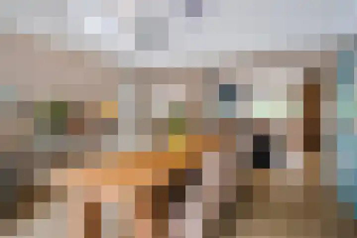 Rode Heikorstlaan 22 Eindhoven thumbnail 19