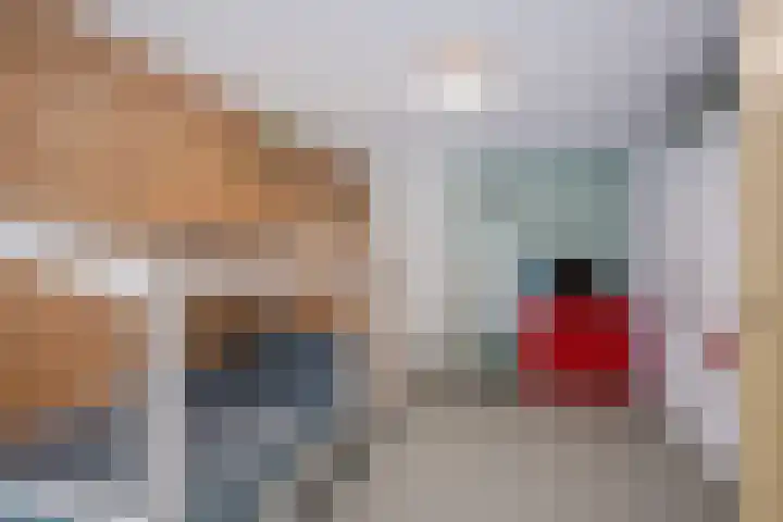 Rode Heikorstlaan 22 Eindhoven thumbnail 29