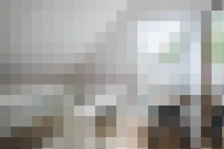Rode Heikorstlaan 22 Eindhoven thumbnail 32