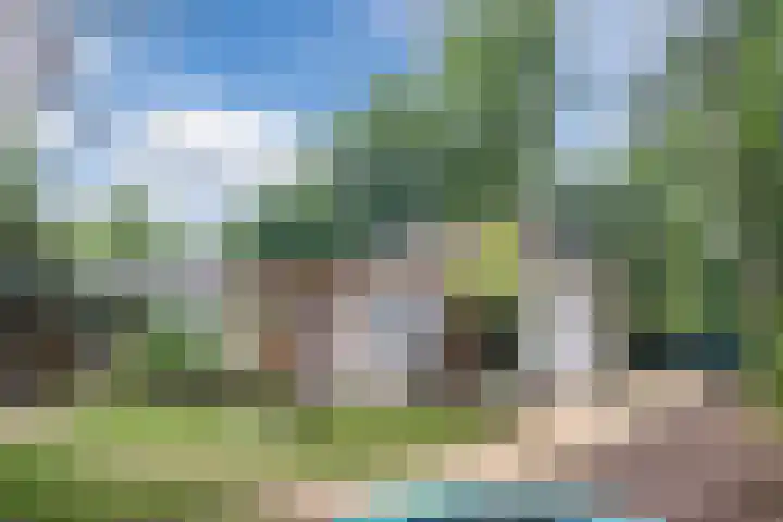 Rode Heikorstlaan 22 Eindhoven thumbnail 35