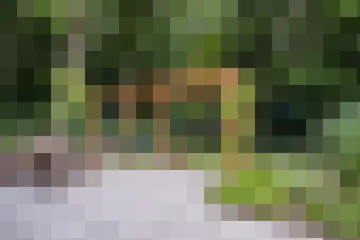 Rode Heikorstlaan 22 Eindhoven thumbnail 36
