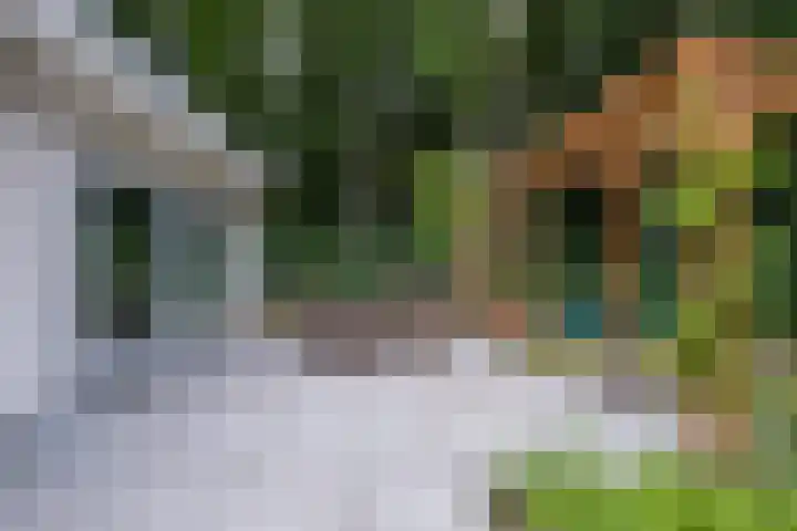 Rode Heikorstlaan 22 Eindhoven thumbnail 37