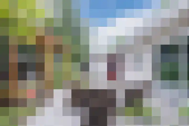 Rode Heikorstlaan 22 Eindhoven thumbnail 38