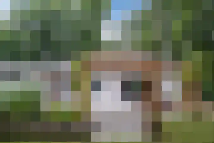 Rode Heikorstlaan 22 Eindhoven thumbnail 40