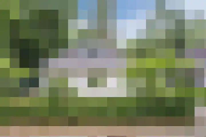 Rode Heikorstlaan 22 Eindhoven thumbnail 41
