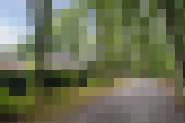 Rode Heikorstlaan 22 Eindhoven thumbnail 42