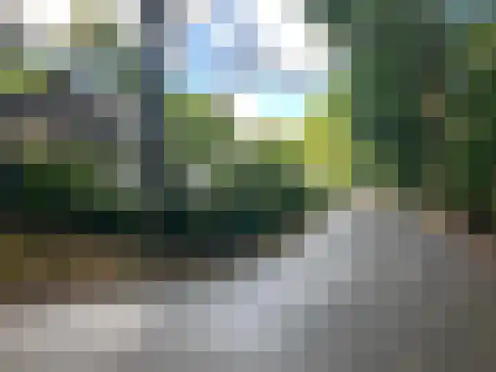 Rode Heikorstlaan 22 Eindhoven thumbnail 43