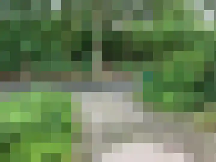 Rode Heikorstlaan 22 Eindhoven thumbnail 45